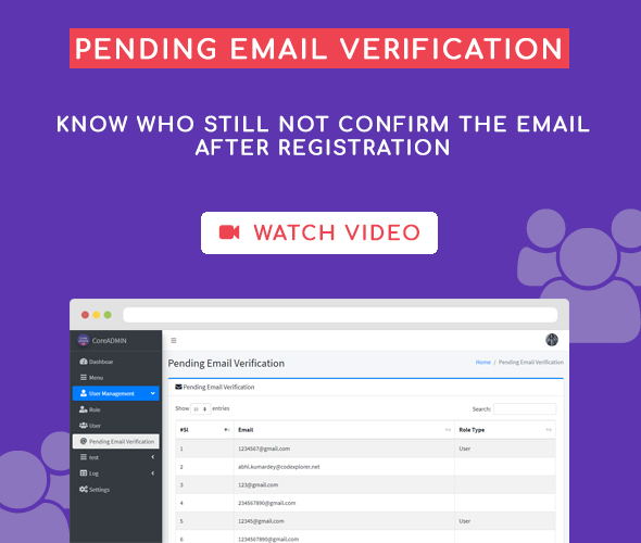 pending email verification core admin user management system